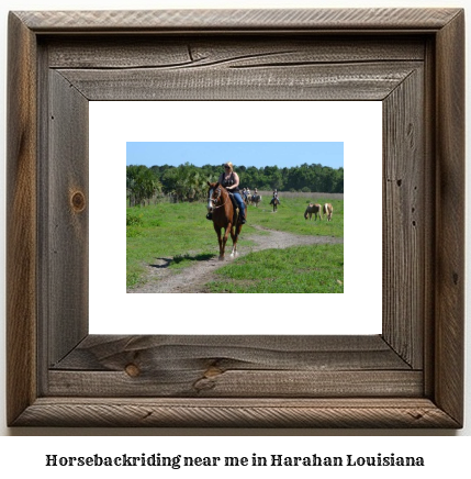 horseback riding near me in Harahan, Louisiana